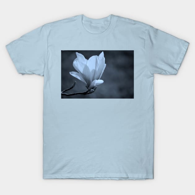 Magnolia T-Shirt by LaurieMinor